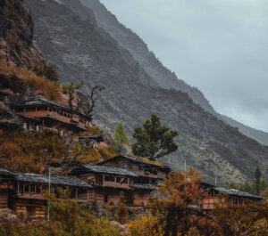 Gallery Thumbnail 0