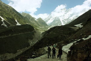 Gallery Thumbnail 7