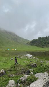 Gallery Thumbnail 5