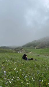 Gallery Thumbnail 4
