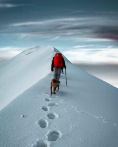 Gallery Thumbnail 1