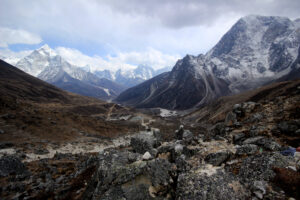 Gallery Thumbnail 1